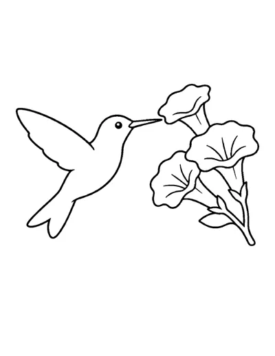Ruby-throated Hummingbird Coloring Page: free printable line art