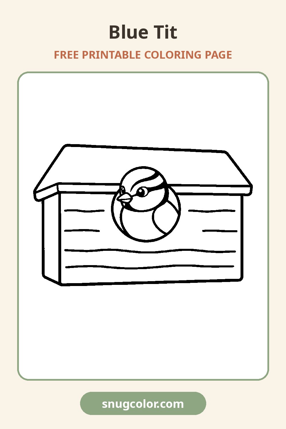 Blue Tit Coloring Page Pinterest pin