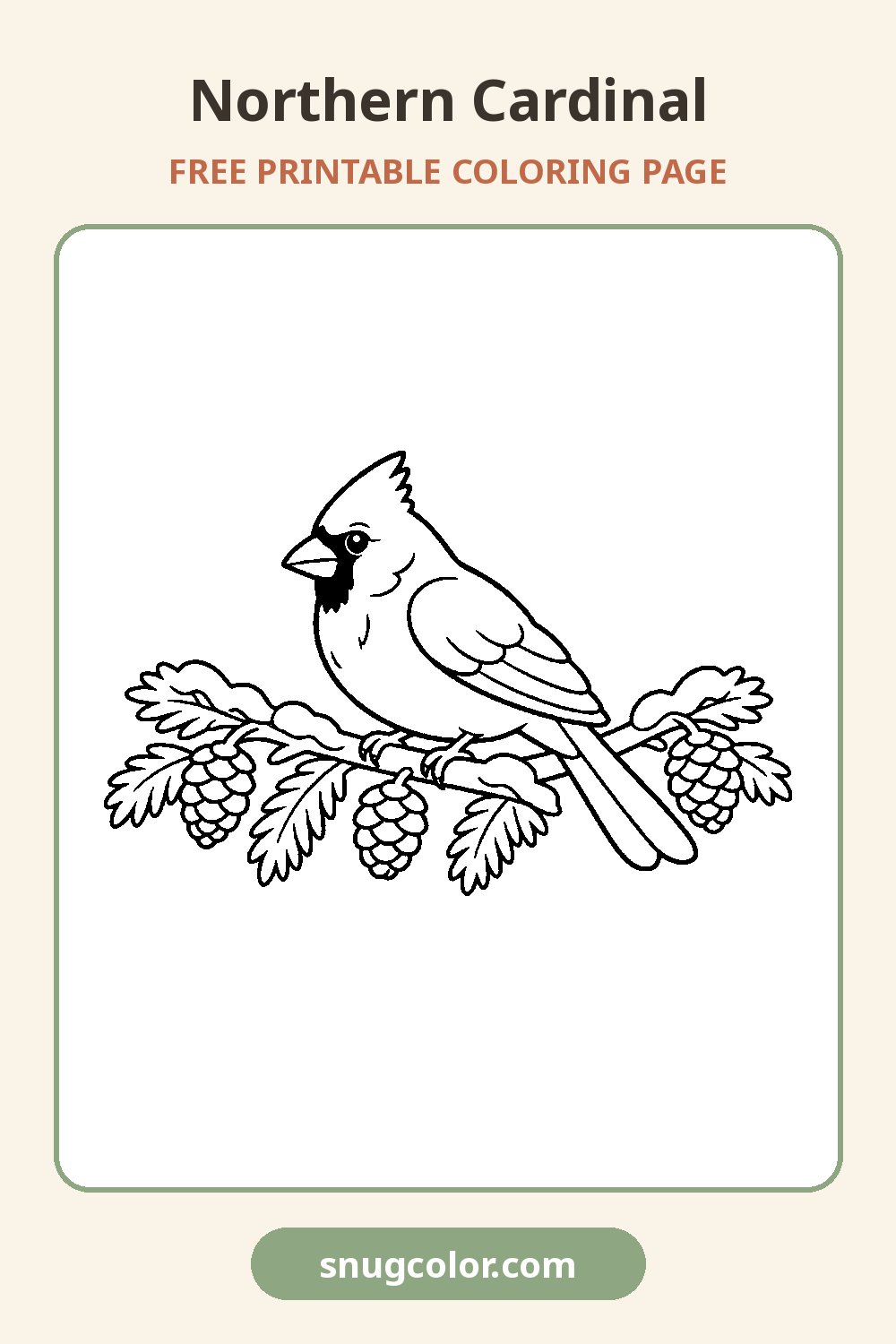 Northern Cardinal Coloring Page Pinterest pin
