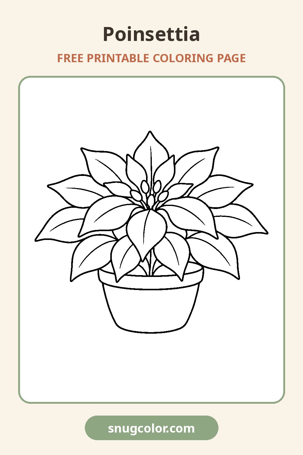 Poinsettia Coloring Page Pinterest pin